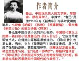 5.1《阿Q正传（节选）》课件++2022-2023学年统编版高中语文选择性必修下册