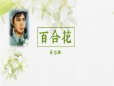 3.1《百合花》课件2023-2024学年统编版高中语文必修上册