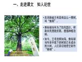 统编版高中语文选择性必修上册--_第一单元_县委书记的好榜样--焦裕禄（一）-课件