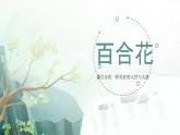 3.1《百合花》（精美课件）-2023-2024学年高一语文同步精品备课（分层练习+精美课件）（统编版必修上册）