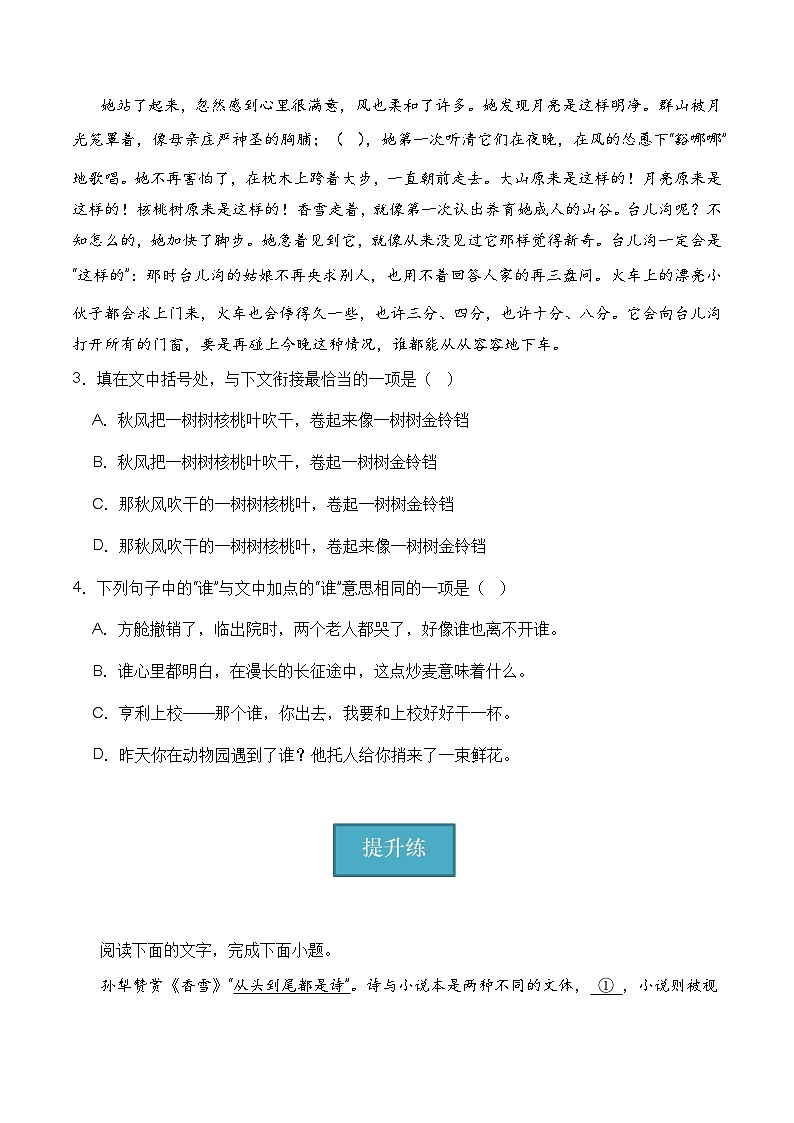 3.2《哦，香雪》（分层练习）-2023-2024学年高一语文同步精品备课（分层练习+精美课件）（统编版必修上册）02