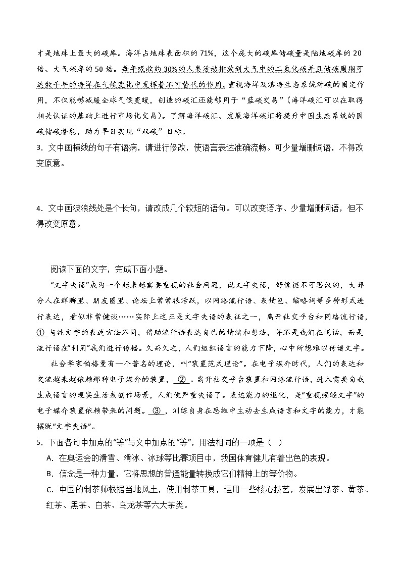 8.3《琵琶行》（分层练习）-2023-2024学年高一语文同步精品课堂（统编版必修上册）原卷版第2页