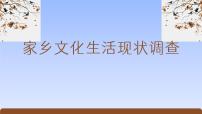 高中语文人教统编版必修 上册二 家乡文化生活现状调查完整版备课ppt课件