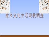 《家乡文化生活·家乡文化生活现状调查》（精美课件）-2023-2024学年高一语文同步精品备课（分层练习+精美课件）（统编版必修上册）