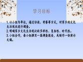 《家鄉(xiāng)文化生活·家鄉(xiāng)文化生活現(xiàn)狀調查》（精美課件）-2023-2024學年高一語文同步精品備課（分層練習+精美課件）（統(tǒng)編版必修上冊）