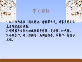 《家乡文化生活·家乡文化生活现状调查》（精美课件）-2023-2024学年高一语文同步精品备课（分层练习+精美课件）（统编版必修上册）