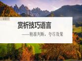 高考语文一轮复习--赏析技巧语言——精准判断，夸尽效果课件PPT