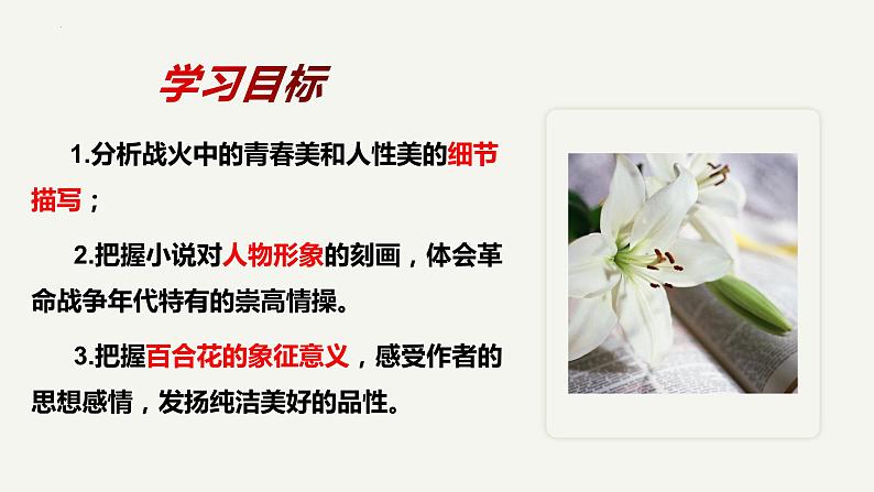 3.《百合花》课件 统编版高中语文必修上册第8页