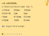 江苏专版2023_2024学年新教材高中语文第2单元6芣苢插秧歌分层作业课件部编版必修上册