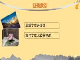 江苏专版2023_2024学年新教材高中语文第1单元2立在地球边上放号红烛峨日朵雪峰之侧致云雀课件部编版必修上册
