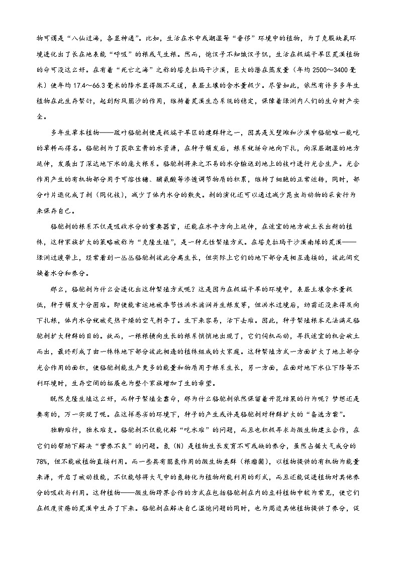 2024泸州泸县五中高三上学期开学检测语文试题含解析03