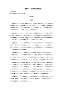 高考语文二轮复习题型归纳与演练专题12  文学类文本阅读-（含解析）