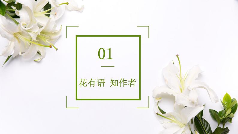 3.1《百合花》课件2023-2024学年统编版高中语文必修上册第3页