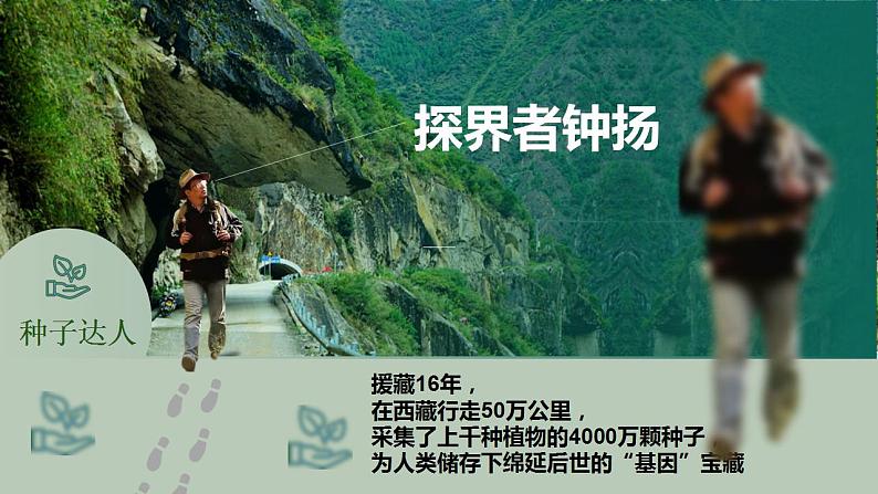 4.3《“探界者”钟扬》课件2023-2024学年统编版高中语文必修上册01