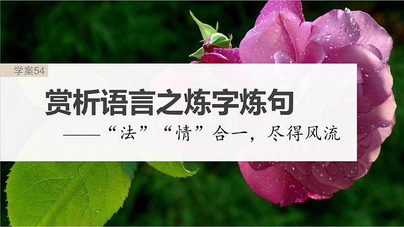 高考语文一轮复习课时练精品课件板块6 古诗词阅读与鉴赏 课时54　赏析语言之炼字炼句（含解析）02