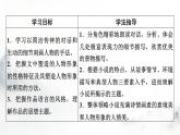 人教部编版高中语文选择性必修中册第二单元8荷花淀课件