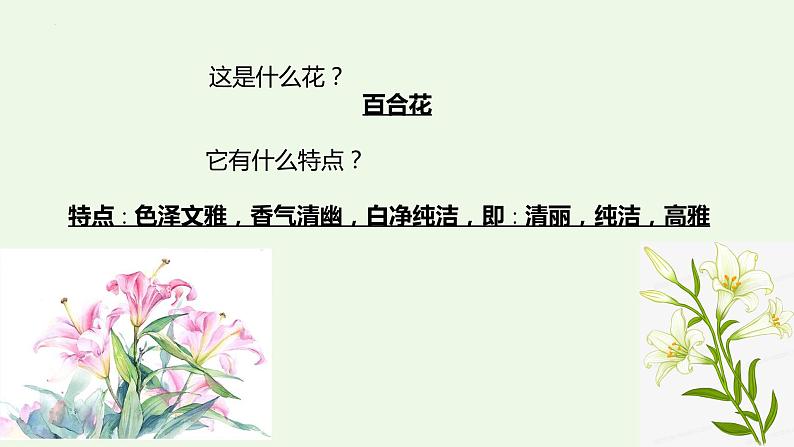 3-1《百合花》课件 2023-2024学年统编版高中语文必修上册02