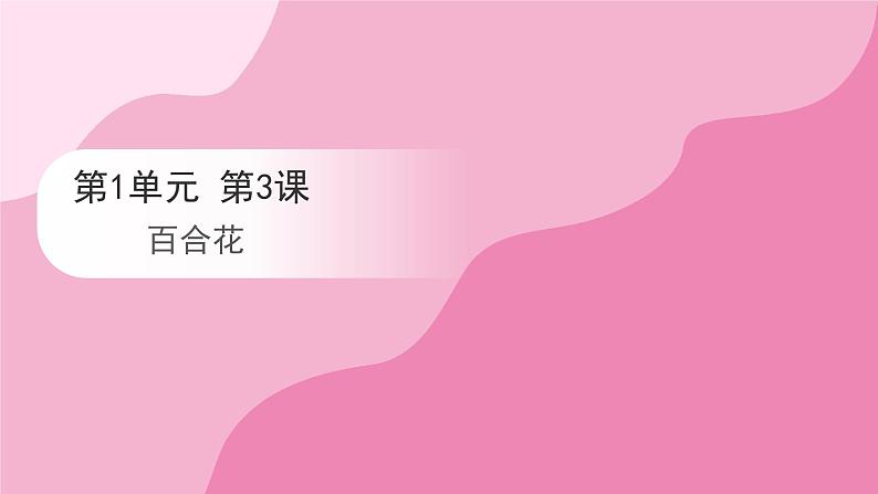 3.1 百合花课件2023-2024学年高一语文（统编版必修上册）第1页