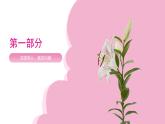 3.1 百合花课件2023-2024学年高一语文（统编版必修上册）