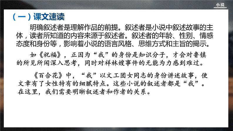 2024届高考一轮复习：小说 课件第7页