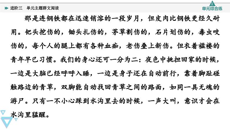 统编版高中语文必修上册 第2单元 进阶3 单元主题群文阅读（课件+练习+素材）05