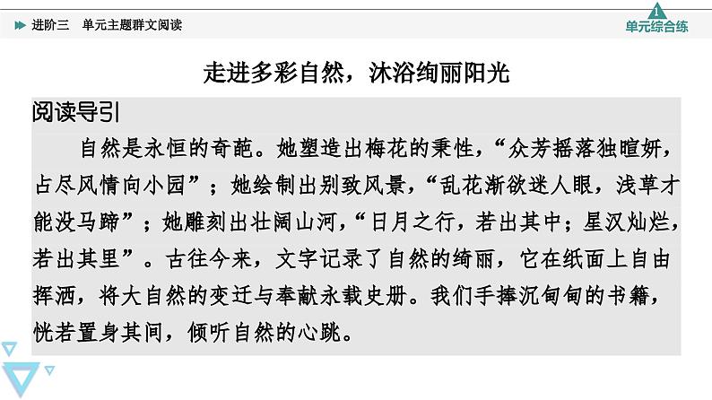 统编版高中语文必修上册 第7单元 进阶3 单元主题群文阅读（课件+练习+素材）02