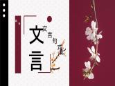 2024届高考专题复习：文言文阅读精讲精练之文言句式  课件
