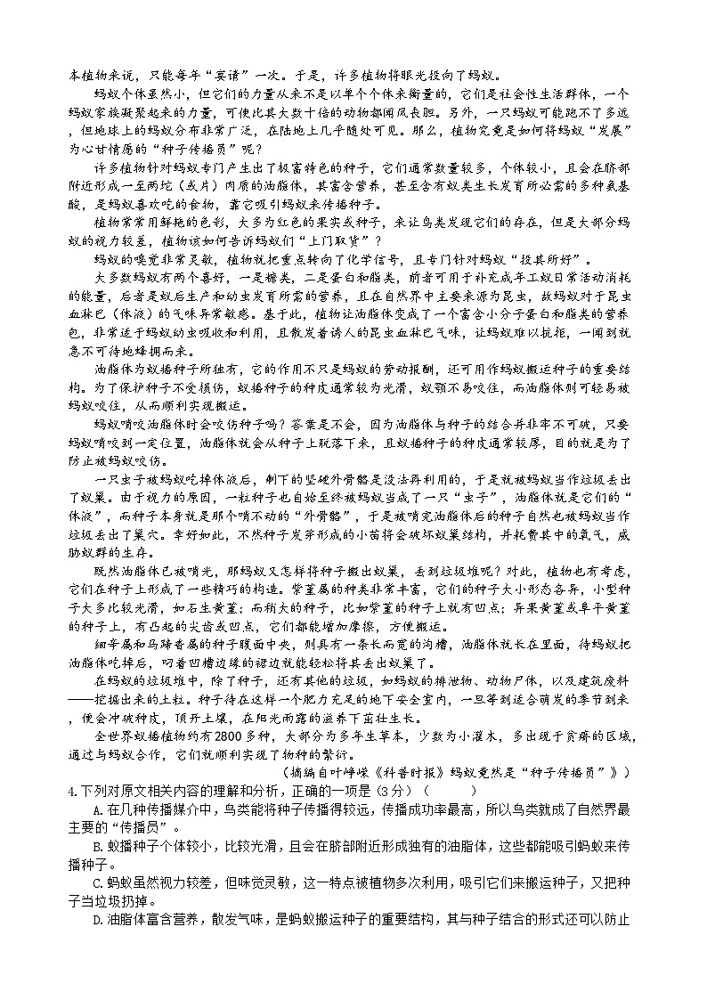2024四川省射洪中学高三上学期10月月考试题语文含答案03
