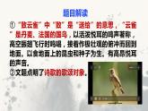 第2.4课 《致云雀》课件-高中语文统编版必修上册