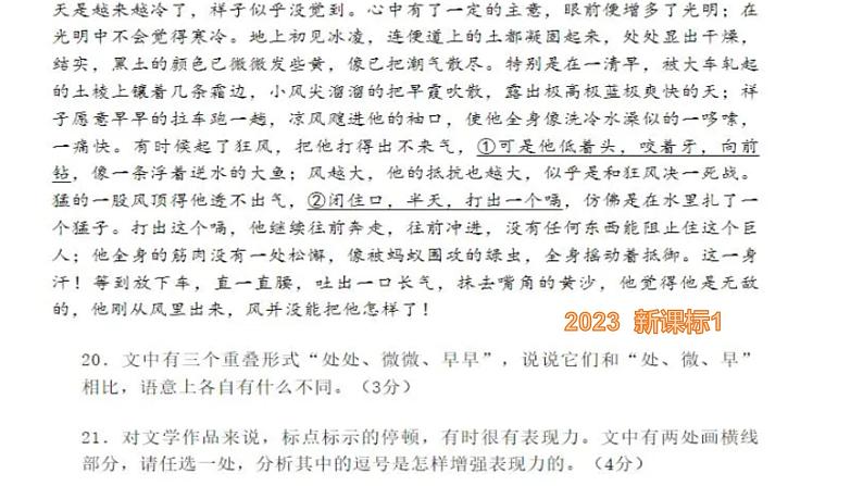 2024届高考语文复习：修辞与标点 课件第3页