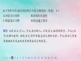 新教材2023_2024学年高中语文第3单元10.2归去来兮辞并序分层作业课件部编版选择性必修下册