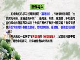 第14.2课《荷塘月色》课件-高中语文统编版必修上册