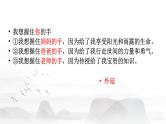 2024届高考语文复习：议论文写作中核心概念的阐释 课件