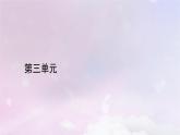 新教材适用2023_2024学年高中语文第3单元第9课复活节选课件部编版选择性必修上册