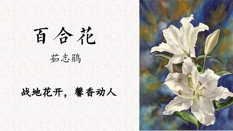 《百合花》课件 统编版高中语文必修上册01