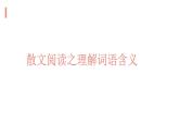 2023届高考  二轮专题复习：散文阅读之散文语言 课件