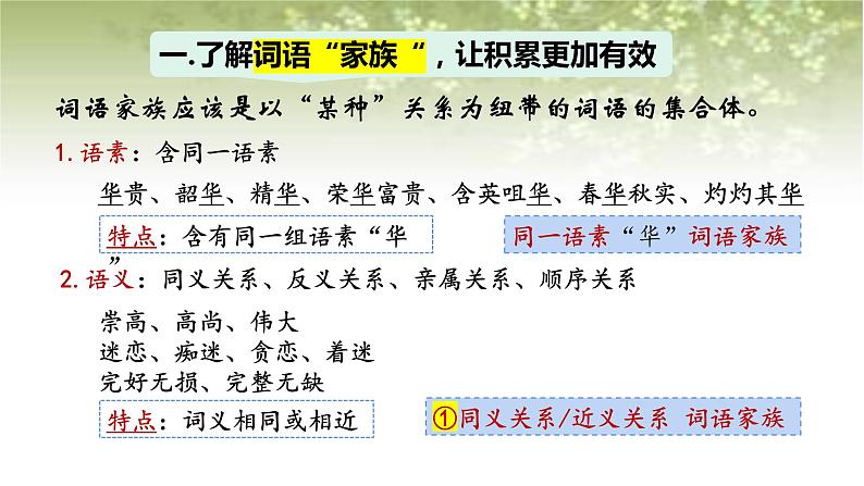 第八单元 词语积累与词语解释学习活动课件统编版必修上册06