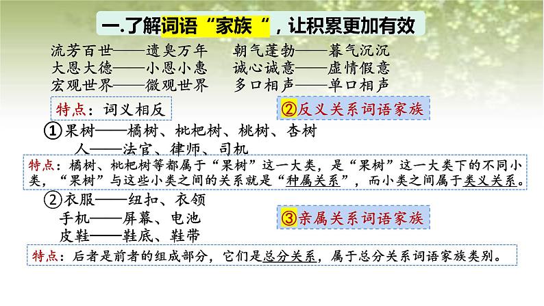 第八单元 词语积累与词语解释学习活动课件统编版必修上册07