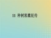 广西专版2023_2024学年新教材高中语文第三单元11种树郭橐驼传课件部编版选择性必修下册