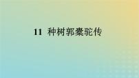 人教统编版选择性必修 下册11 *种树郭橐驼传图文ppt课件