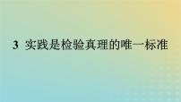 人教统编版选择性必修 中册3 实践是检验真理的唯一标准测试题