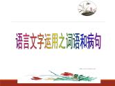 2024届高考语文复习：语言文字运用之词语和病句 课件