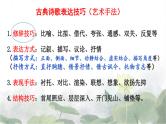 2024届高考专题复习 ：表达技巧之修辞手法  课件