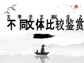 2024届高考专题复习：文学类文本阅读之不同文体的比较鉴赏 课件