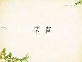 统编版高中语文必修上册 第二单元 第六课  芣  苢课件
