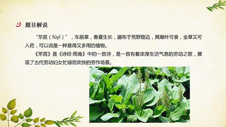 统编版高中语文必修上册 第二单元 第六课  芣  苢课件04