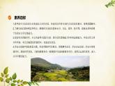 統(tǒng)編版高中語文必修上冊 第四單元 家鄉(xiāng)文化生活課件