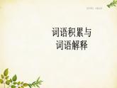 統(tǒng)編版高中語(yǔ)文必修上冊(cè) 第八單元 詞語(yǔ)積累與詞語(yǔ)解釋課件
