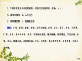 统编版高中语文必修上册课时作业(七)短歌行归园田居(其一)课件
