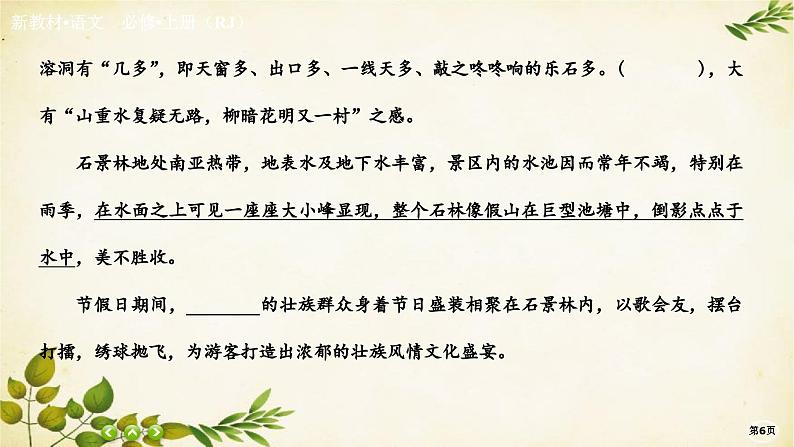 统编版高中语文必修上册课时作业(三)百合花　哦，香雪课件06